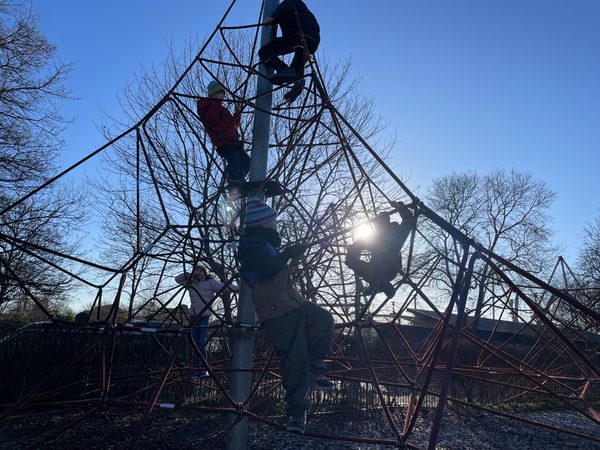 A group of children climbing a jungle gym on a sunny day.