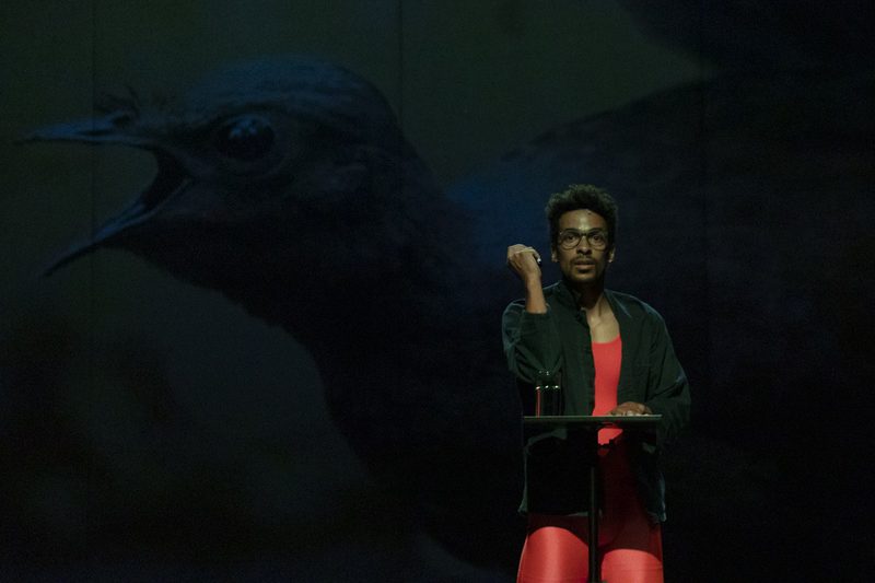 A person with glasses stands behind a small lectern on a dark stage, wearing a bright orange unitard under a dark open shirt. He has one hand raised near his face in a thoughtful gesture. Behind him, a large, dramatic projection of a bird with its beak wide open fills the background, creating a surreal and commanding atmosphere.