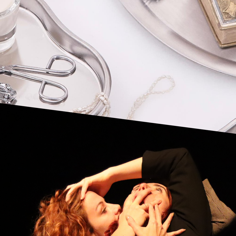 This image is divided into two parts. On the top, overhead view of metal trays holding a syringe, medical tools, a rosary, pearls, a small glass of milk, and an ornate book on a white background. On the bottom, a person dressed in a satin bra and black blazer leans backward, covering their open mouth with one hand and extending the other arm above their head to touch the head of another person embracing them from behind, who is wearing a grey blazer and has long, curly ginger hair.