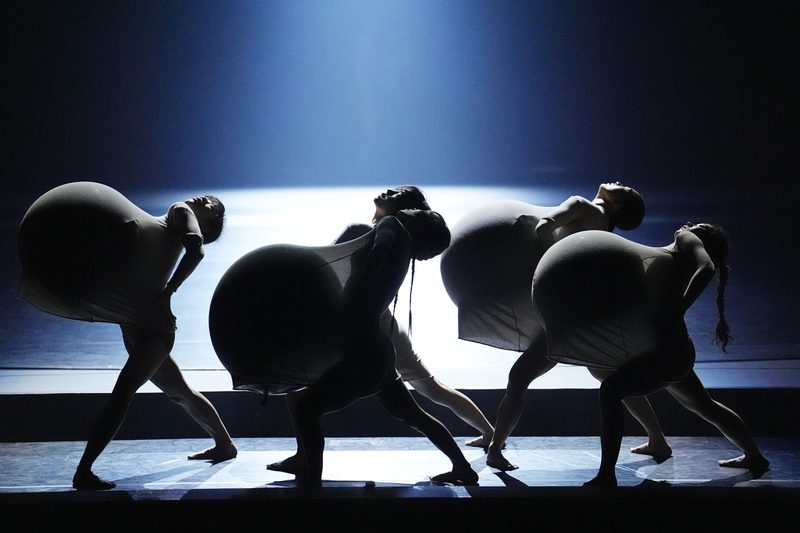 The movements of the female dancers, as if harboring life, create the vital energy of life and living.