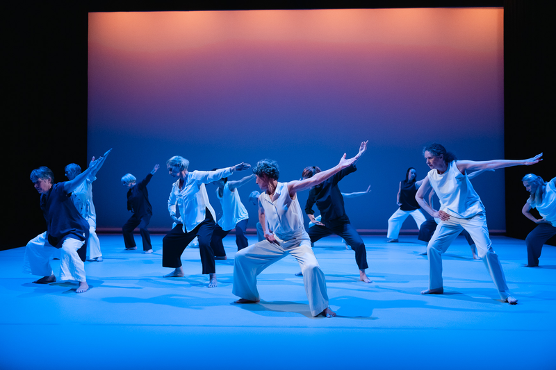 A company over of Over 60s dancers on stage in front of a sunset background.