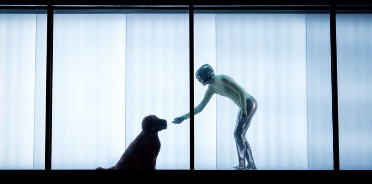 A shiny, silver being, wearing a luminous green jumper, extends their hand towards a brown shaggy dog. They are set against the bright interior of the shipping container.