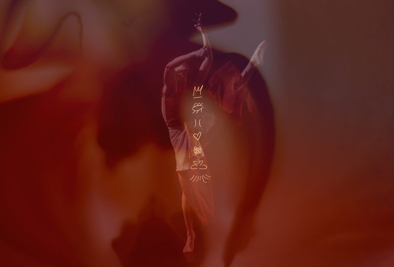 A double-exposure image in warm red and brown tones features a dancer in mid-motion overlaid with a soft, floral silhouette. A vertical stack of golden line-art symbols, including a crown, an eye, and a heart, is centered over the figure.